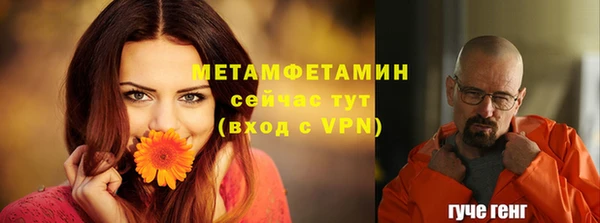 COCAINE Богородицк