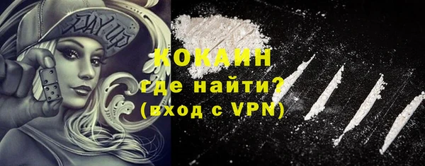 дурь Бронницы