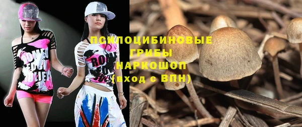 дурь Бронницы