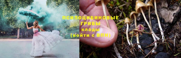 МДМА Бородино