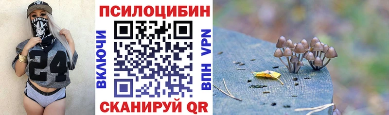 Галлюциногенные грибы прущие грибы  дарнет шоп  Дигора 