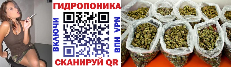 МАРИХУАНА план  Дигора 